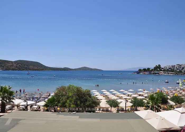 فندق ريغال 2*