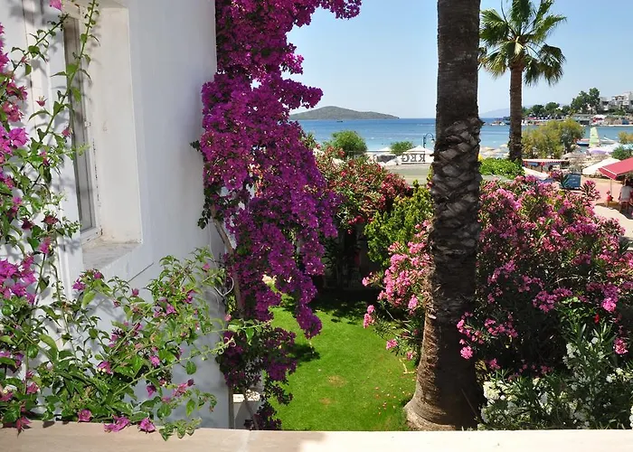 ريغال فندق 2*