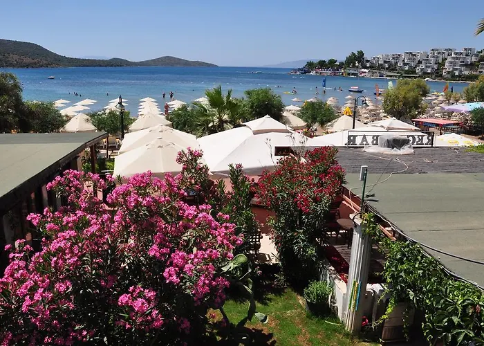 ريغال بيتيس