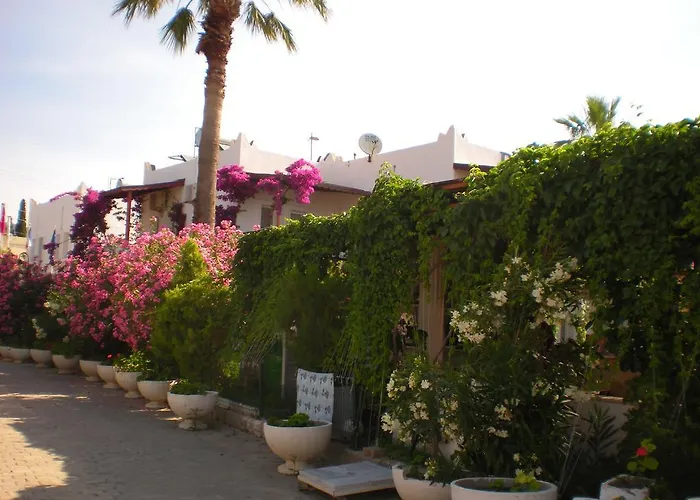 ريغال 2* بيتيس