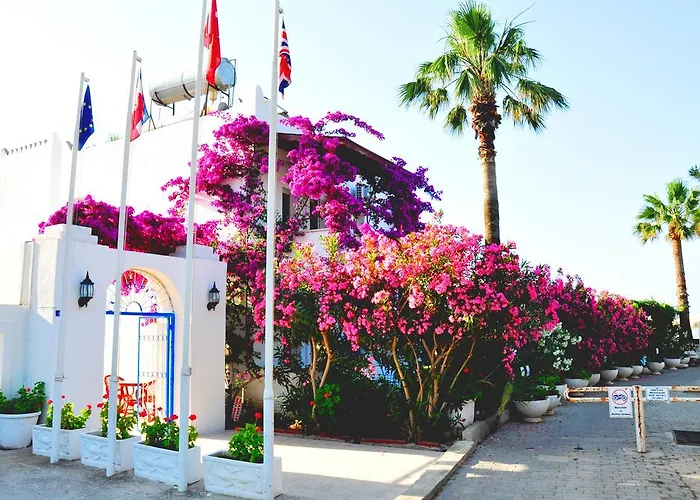 فندق ريغال 2*