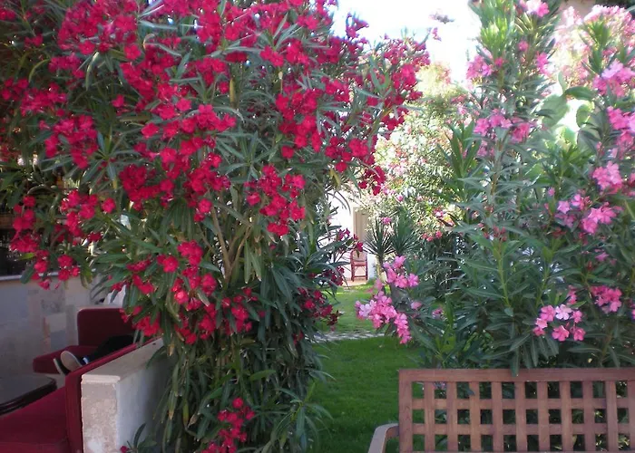 מלון Regal ביטז